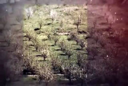 گزارش ۱۰۰ روزه وزارت جهاد کشاورزی - بخش نخست