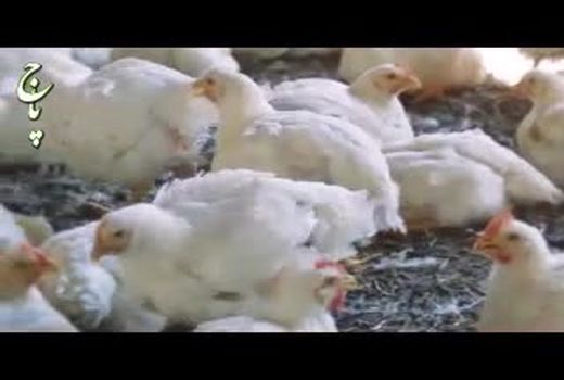 نشست مشترک وزارت جهاد کشاورزی و وزارت صنعت، معدن و تجارت برای تنظیم بازار کالاهای کشاورزی 