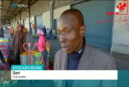 رشد تقاضا برای طلای سبز آفریقا