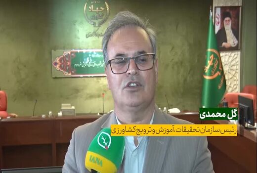 تدوین طرح الگوی کشت در مراحل پایانی است / لزوم آموزش فرهنگ مصرف در جامعه