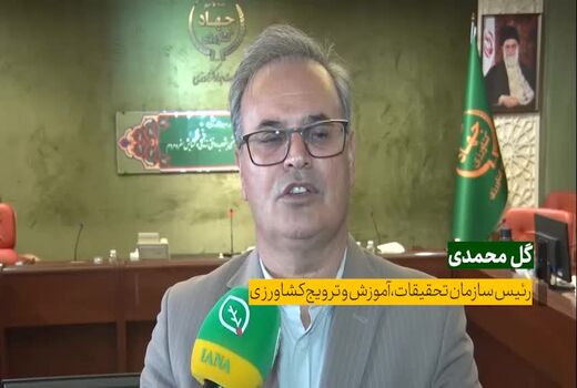 تدوین طرح الگوی کشت در مراحل پایانی است / لزوم آموزش فرهنگ مصرف در جامعه