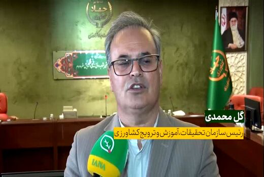 تدوین طرح الگوی کشت در مراحل پایانی است / لزوم آموزش فرهنگ مصرف در جامعه