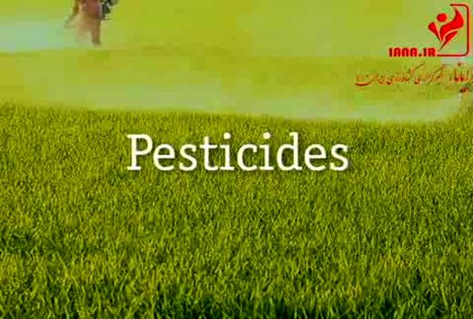 جهان بدون زنبور چگونه خواهد بود؟