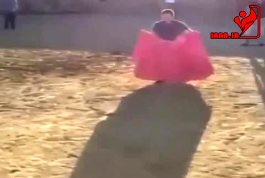 یا گاوه هدفگیریش خوب بود یا گاوبازه دفعه اولش بود