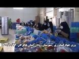 خبر خوش وزیر جهاد کشاورزی درباره صادرات فلفل دلمه ای ایران