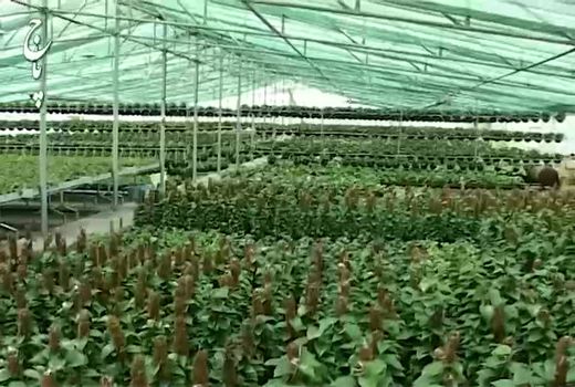 امضای تفاهم نامه ۴ جانبه برای ایجاد اشتغال در بخش کشاورزی