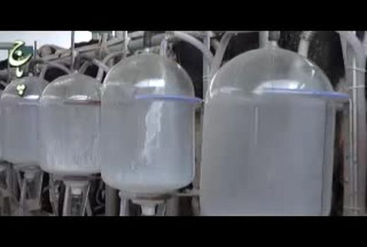 تولید مرغ و تخم مرغ کافی در کشور علیرغم  وجود تحریم ها  