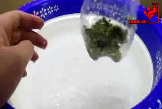 استفاده از یک بطری کوکا کولا برای رشد جوانه لوبیا در خانه