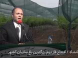فیلم | وزیر جهاد کشاورزی: ایران در ۳۰ محصول باغی رتبه‌های یک تا دهم دنیا را دارد