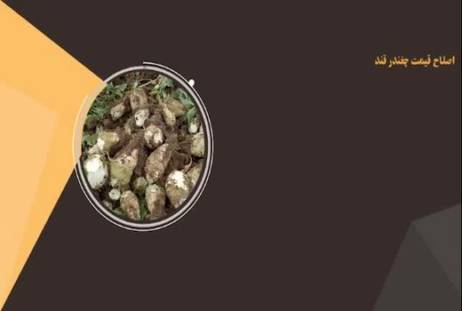 مهمترین اقدامات ۱۰۰ روزه وزارت جهاد کشاورزی