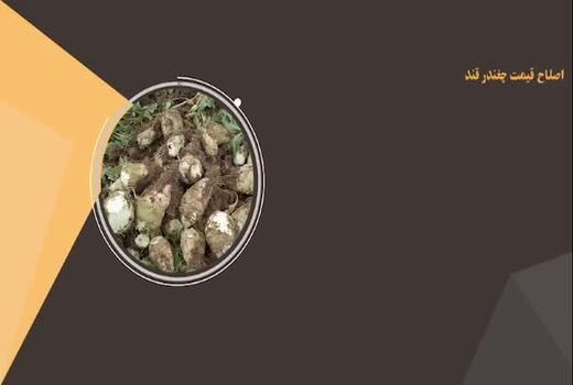 مهمترین اقدامات ۱۰۰ روزه وزارت جهاد کشاورزی
