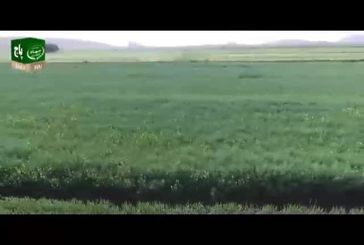 حضور وزیر جهاد کشاورزی در شبکه ملی برکت در روز قدس