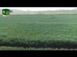 حضور وزیر جهاد کشاورزی در شبکه ملی برکت در روز قدس