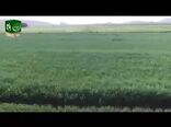 حضور وزیر جهاد کشاورزی در شبکه ملی برکت در روز قدس