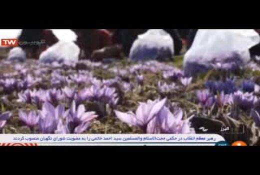 صحبت های وزیر جهاد کشاورزی در مورد خرید تضمینی زعفران