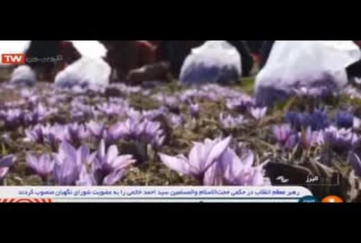 صحبت های وزیر جهاد کشاورزی در مورد خرید تضمینی زعفران