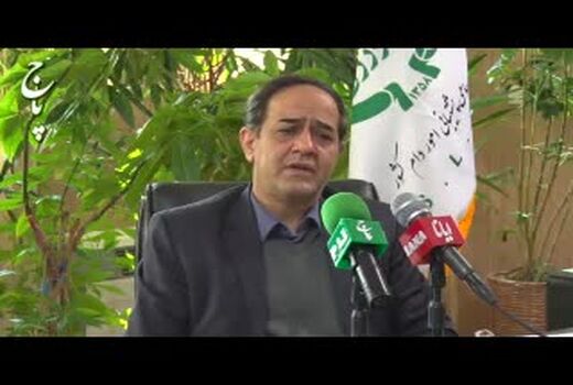 تأمین نیاز بازار با ذخایر پشتیبانی امور دام/ تولید گوشت قرمز به‌شرط تأمین نهاده