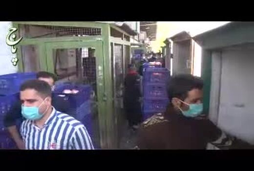 بازدید سرزده وزیر جهاد کشاورزی از میادین عرضه مرغ تهران 
