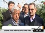 افتتاح وبهر ه برداری ازطرح های کشاورزی به مناسبت دهه فجر