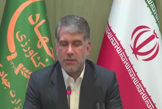 همکاری ایران با یونیدو برای توسعه زنجیره ارزش در صنعت زنبورداری