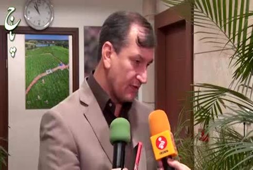 ادامه رایزنی ها برای از سرگیری صادارات فلفل دلمه ای ایران به روسیه 