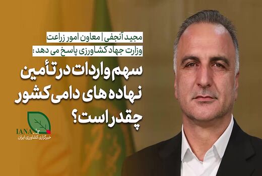 فیلم | معاون وزیر جهاد کشاورزی: حدود ۸۰ درصد نهاده‌های دامی تولید داخل است