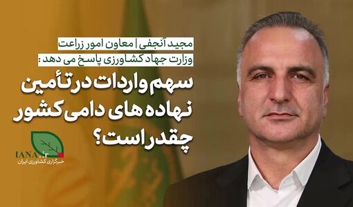 فیلم | معاون وزیر جهاد کشاورزی: حدود ۸۰ درصد نهاده‌های دامی تولید داخل است