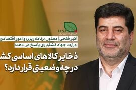 فیلم | معاون وزیر جهاد کشاورزی: نیازی به برداشت از ذخایر راهبردی کالاهای اساسی نداریم