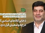فیلم | معاون وزیر جهاد کشاورزی: نیازی به برداشت از ذخایر راهبردی کالاهای اساسی نداریم