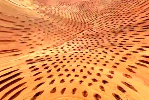 طرح احداث باغات دیم در اراضی شیبدار شهر هارونی