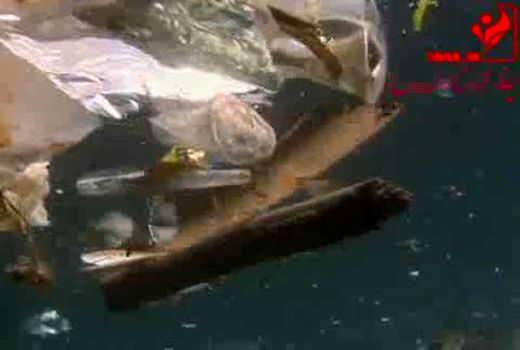 اقیانوس آلوده 