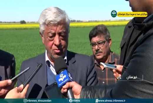 تولید 40 درصد شکر مورد نیاز کشور در خوزستان