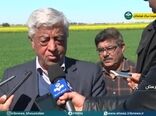 تولید 40 درصد شکر مورد نیاز کشور در خوزستان