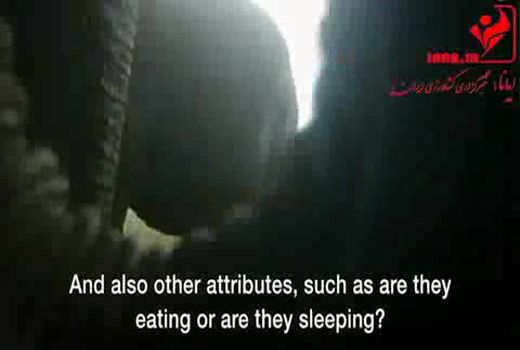 هوش مصنوعی توسعه یافته برای شناسایی