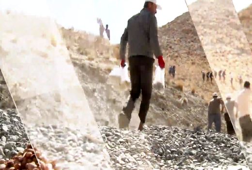 پویش هر ایرانی یک درخت برای ایرانی سرسبز