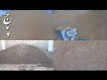 نهاده‌های دامی دی‌ماه با قیمت‌های ترجیحی در سامانه بازارگاه بارگذاری می‌شود 