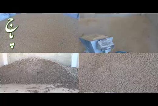 نهاده‌های دامی دی‌ماه با قیمت‌های ترجیحی در سامانه بازارگاه بارگذاری می‌شود 