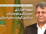فیلم | رئیس سازمان جهاد کشاورزی سیستان‌وبلوچستان: 7هزار تن گوشت کشور را تامین کردیم