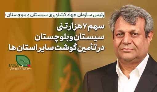فیلم | رئیس سازمان جهاد کشاورزی سیستان‌وبلوچستان: 7هزار تن گوشت کشور را تامین کردیم