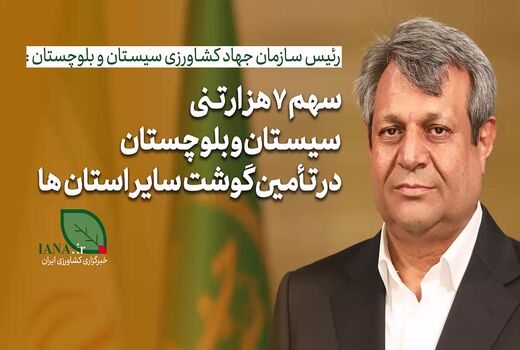 فیلم | رئیس سازمان جهاد کشاورزی سیستان‌وبلوچستان: 7هزار تن گوشت کشور را تامین کردیم