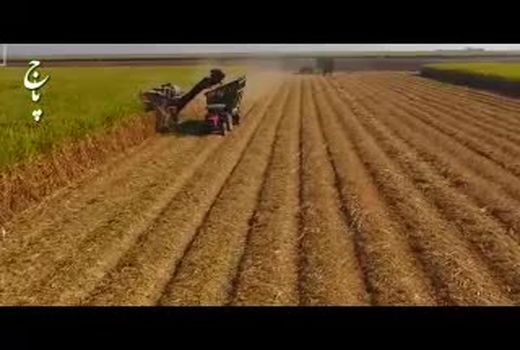 توسعه زنجیره‌ها نسخه نجات ‌بخش کشاورزی 