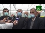 بازدید وزیر جهاد کشاورزی از گلخانه سبزی و صیفی دشت ناز در مازندران