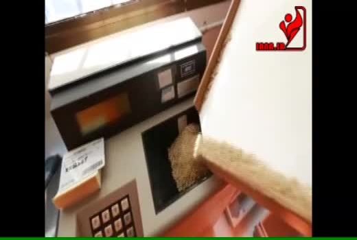 تولید برنج در استرالیا