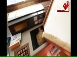 تولید برنج در استرالیا