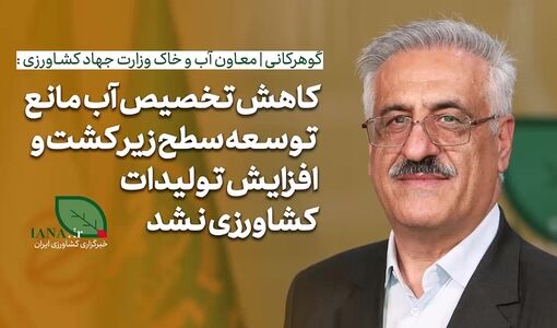 فیلم | معاون وزیر جهاد کشاورزی: کاهش تخصیص آب مانع توسعه سطح زیرکشت کشاورزی نشد