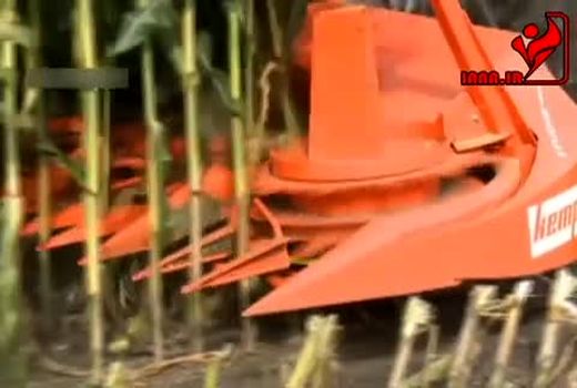 برداشت تمام مکانیزه ذرت