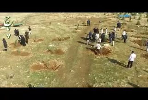 ضرورت مشارکت مردمی در طرح‌های صیانت از مراتع کشور