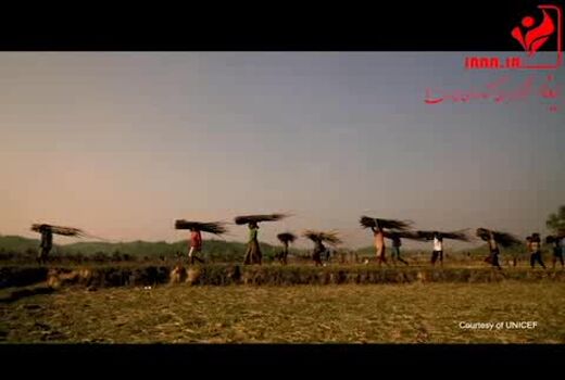 کار کودکان در کشاورزی را متوقف کنید