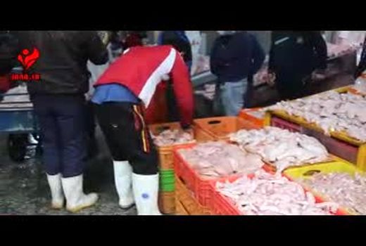 توضیحات معاون وزیر جهاد کشاورزی در رابطه با تامین تخم‌مرغ