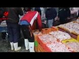 توضیحات معاون وزیر جهاد کشاورزی در رابطه با تامین تخم‌مرغ